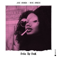Feelin' the Funk - Single - José Aranda & Mike Arnedo