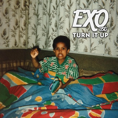 TURN IT UP FREESTYLE - Single