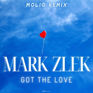 Got The Love (Molio Remix) - Single
