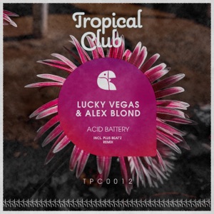 Acid Battery - EP