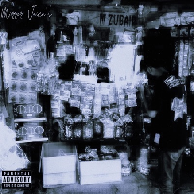 Mirror Voices (feat. AHSANULLAHKHAN & Alaina Vaillancourt) - Single