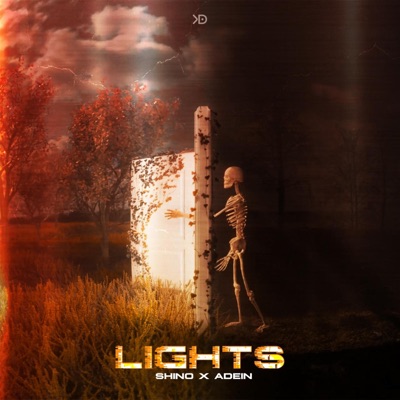 LIGHTS (feat. Adein) - Single
