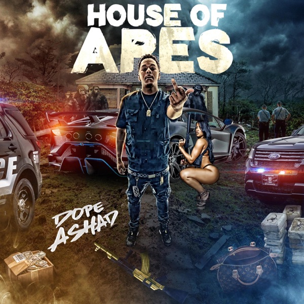 House Of Apes