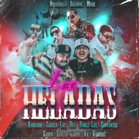 Las Heledas (feat. Grupo Efecto, Grupo VA Varones, Los Cervantez & Los del roble) - Single - Armando Correa