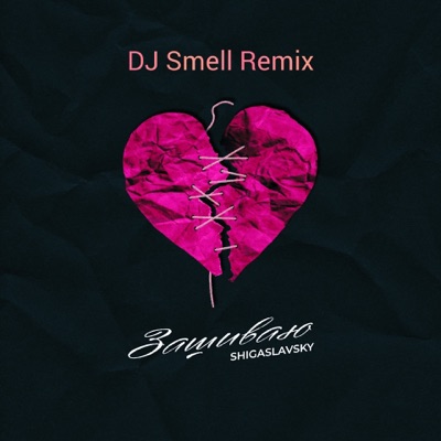 Зашиваю (DJ Smell Remix) - Single