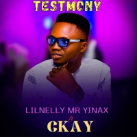 TESTMONY (feat. CKAY) - Single - Lilnelly Mr Yinax