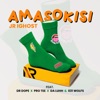 Amasokisi (feat. Dr Dope, Protée, Da luhh & 031 WOLFS) - Single