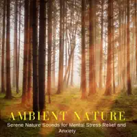 Sharp Wind — Ambient