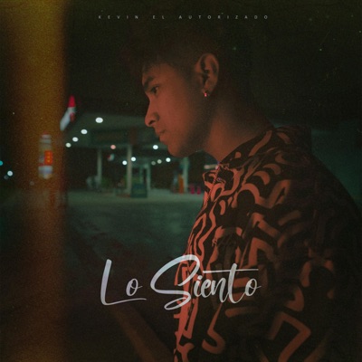 Lo Siento - Single