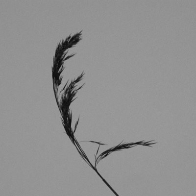 Циркуляр - Single