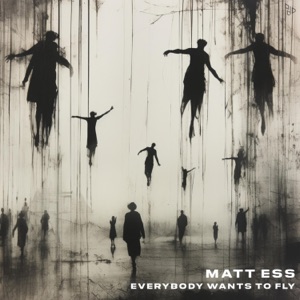 Everybody Wants To Fly - Single