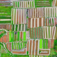 Cicada Vibes (feat. Luca D’Arco & Damiano De Matteis) - Single - Marco De Gennaro