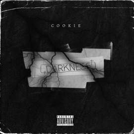 Darkness cookie045