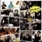 AYY AYY AYY (feat. Otr Trapbaby & MulaMar) - BIG HAULIN lyrics