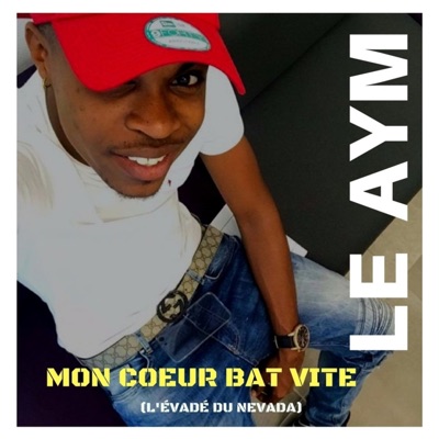 Mon cœur bat vite (L'évadé du Nevada) cover art