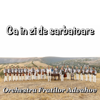 Hora De La Margineni - Orchestra Fraților Advahov