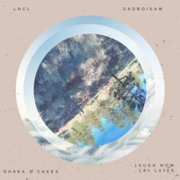 Laugh Now Cry Later (feat. Sadboisam) - Single - Shaka D. Cakes