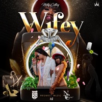 Wifey - Single - Nelly Cottoy