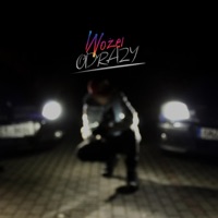 Odrazy - Single - Wožel