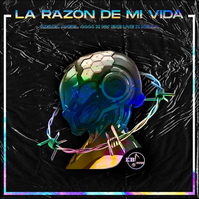 La Razón de Mi Vida - Single