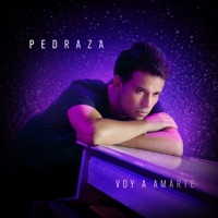Voy a Amarte - Single - Luis Pedraza