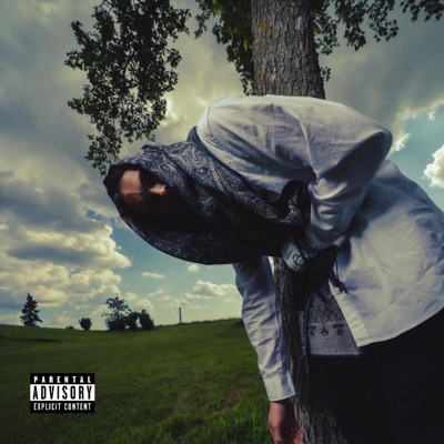 Paisley Fabric (feat. Mallory Claude) - Single