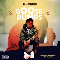 Goosebumps - Single - BCroX