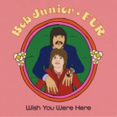 Wish You Were Here artwork