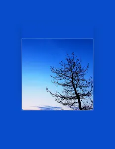 Écoutez 松波哲也, regardez des vidéoclips, lisez la biographie, consultez les dates de tournée et plus encore !