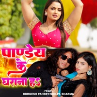 Pandey Ke Gharana Ha (feat. Durgesh Pandey & Shilpa Sharma) - Single - Kumar Panu & Vandana Dubey