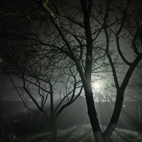 Ночь - Single - сеня