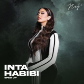 Inta habibi (Sped up) artwork