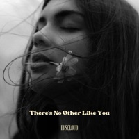 There's No Other Like You - Single - DISCLOUD