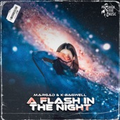 A Flash In the Night artwork
