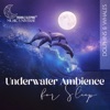 Underwater Ambience for Sleep: Dolphins & Whales – Relaxing Sounds of the Sea, Tranquil Ocean Waves, Dark Night of the Soul