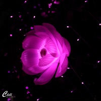 Lost In Thought  Missing You Maybe - Single - WanderLight