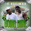 Going Diine - Single