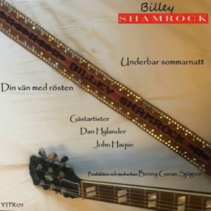 Underbar sommarnatt (feat. Dan Hylander)