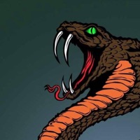 Cobra - Single - LongMoney Phil