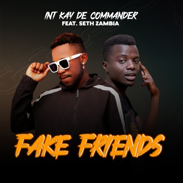 Fake Friends (feat. Seth Zambia)