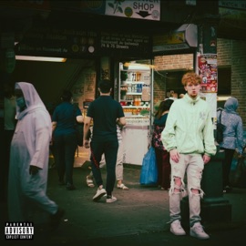 DWYGD (feat. Echo Huang) Rusty Grey