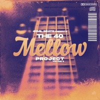 The 40 MELLOW PROJECT, Vol. 2 - EP - 40mil Beats