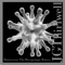 Armadillo Stance - JG Thirlwell lyrics