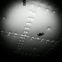 Ночь - Single - Э. Орловский & Julia