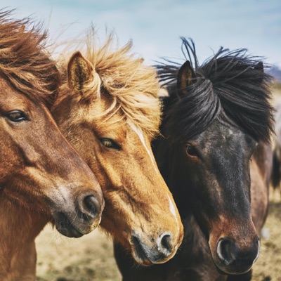 Try Me and I'll Show You