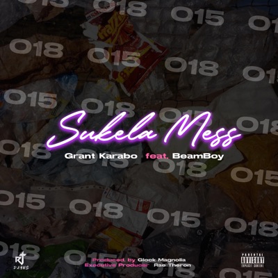 Sukela Mess (feat. Beam Boy) - Single