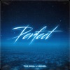 Perfect - Single