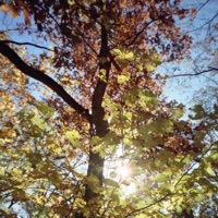 Ridgerunner - EP - jcbmchl