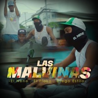 Las Malvinas (feat. El Flako, Diego Estilo & El Nene) - Single - Tn Music In