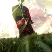 FEELINGS IN M1M BAUCH - Single - Sin Davis